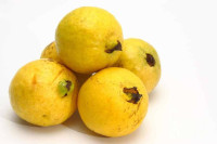 رجيم الجوافة نظام التخسيس بالفاكهة الصحي لفقدان ٤ كيلو