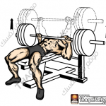 تمارين زيادة كتلة العضلات بالصور