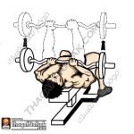 تمارين زيادة كتلة العضلات بالصور