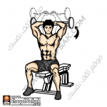 تمارين زيادة كتلة العضلات بالصور