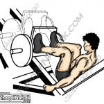 تمارين زيادة كتلة العضلات بالصور