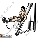 تمارين زيادة كتلة العضلات بالصور