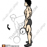 تمارين زيادة كتلة العضلات بالصور