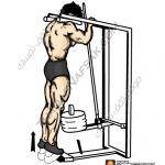 تمارين زيادة كتلة العضلات بالصور