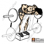 تمارين زيادة كتلة العضلات بالصور