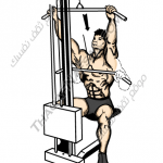 تمارين زيادة كتلة العضلات بالصور