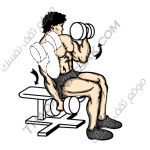 تمارين زيادة كتلة العضلات بالصور