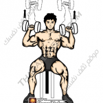 تمارين زيادة كتلة العضلات بالصور