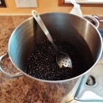 طريقة عمل عصير العنب بالصور