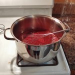 طريقة عمل عصير العنب بالصور