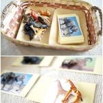 ماهي مهارات مونتسوري للأطفال وكيفية تعليمها وتقديمها ؟