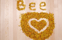 ماهي فوائد حبوب اللقاح ١٠ فوائد رائعة و طرق استخدامه في العلاجات ماهي فوائد حبوب اللقاح ١٠ فوائد رائعة و طرق استخدامه في العلاجات