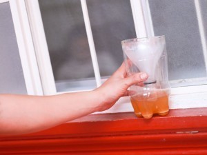 طريقة عمل مصيدة البعوض أو النموس بالسكر والخميرة