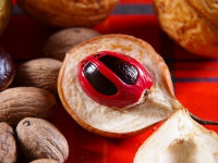 فوائد زيت جوزة الطيب لصحتنا فوائد زيت جوزة الطيب لصحتنا