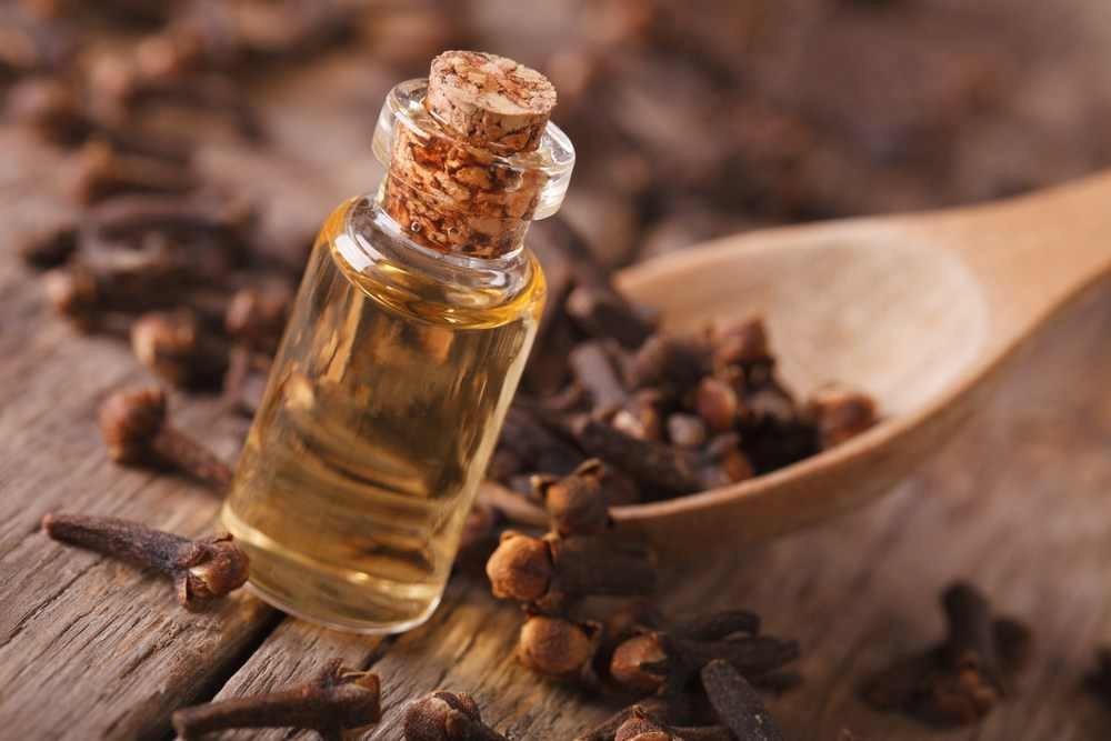فوائد زيت القرنفل الصحية فوائد زيت القرنفل الصحية