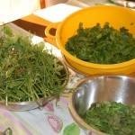 طريقة عمل التبولة اللبنانية بالصور