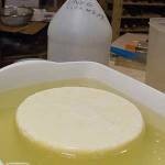 طريقة عمل الجبنة الرومي في البيت بالصور