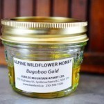 تفتيح الشعر بالبابونج بالصور