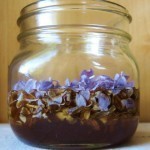 طريقة عمل عسل بطعم ورائحة زهرة الليلك “الليلاس”