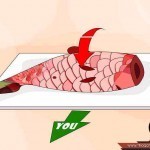 تعلم طريقة تنظيف السمك بالصور