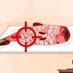 تعلم طريقة تنظيف السمك بالصور