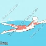 كيف تصبح أطول في إسبوع ؟