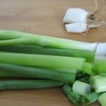 وصفة سهلة لعمل حساء الكوسا والنعناع بالصور