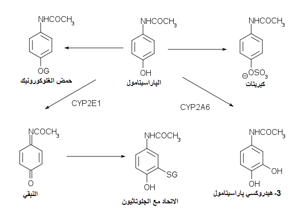 بدائل طبيعية للباراسيتامول تعالج وتُسكن الألم