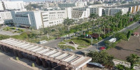 حقائق عن جامعة المنصورة المصرية