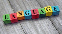 ضرورة تعلم اللغات وأهميتها في تطوير التفكير الإبداعي ضرورة تعلم اللغات وأهميتها في تطوير التفكير الإبداعي