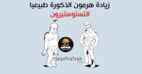 زيادة هرمون الذكورة هرمون التستوستيرون بطرق طبيعية زيادة هرمون الذكورة هرمون التستوستيرون بطرق طبيعية