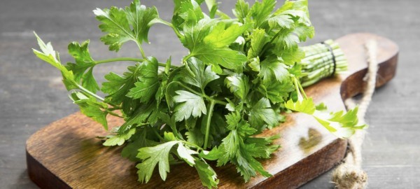 فوائد البقدونس ١٠ فوائد لا غنى عنها