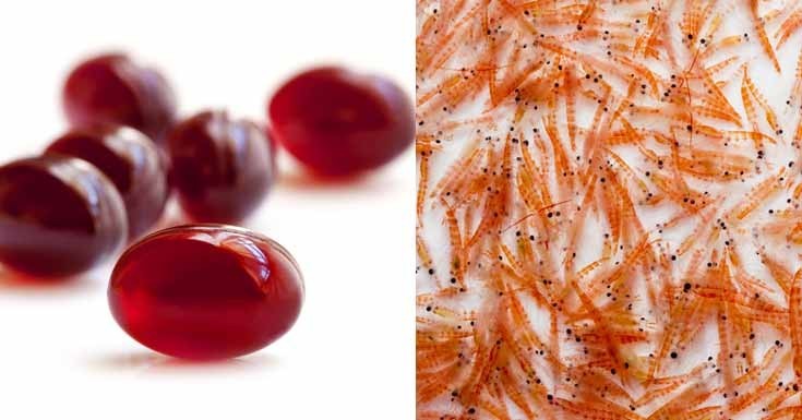 فوائد زيت الكريل للصحة والجسم