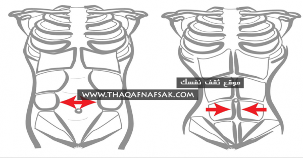 نظام رجيم في 7 أيام لتخسيس دهون البطن