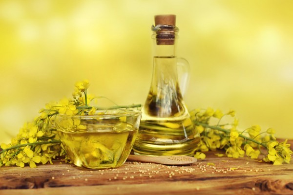 فوائد و أضرار زيت الكانولا
