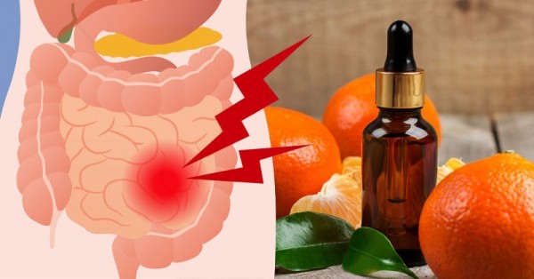 فوائد زيت اليوسفي لتهدئة الجسم والمزاج فوائد زيت اليوسفي لتهدئة الجسم والمزاج