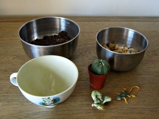 فوائد شاي الصبار وطريقة عمله