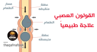 علاج القولون العصبي بـ ٢١ وصفة منزلية علاج القولون العصبي بـ ٢١ وصفة منزلية