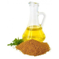 فوائد زيت حب الرشاد للجسم فوائد زيت حب الرشاد للجسم