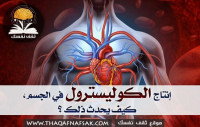 إنتاج الكوليسترول في الجسم، كيف يحدث ذلك ؟