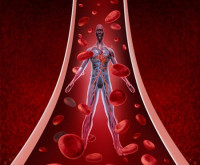 تحسين الدورة الدموية ببعض العلاجات العشبية تحسين الدورة الدموية ببعض العلاجات العشبية