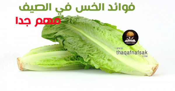 فوائد الخس في الصيف ١٩ فائدة لجسمك فوائد الخس في الصيف ١٩ فائدة لجسمك