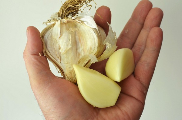 فوائد الثوم على الريق فص صباحاً يصنع ٣١ معجزة بجسمك