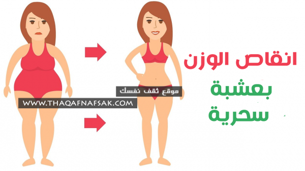 وصفة انقاص الوزن بعشبة سحرية