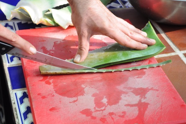 عمل شامبو الالو فيرا وفوائده لشعرك