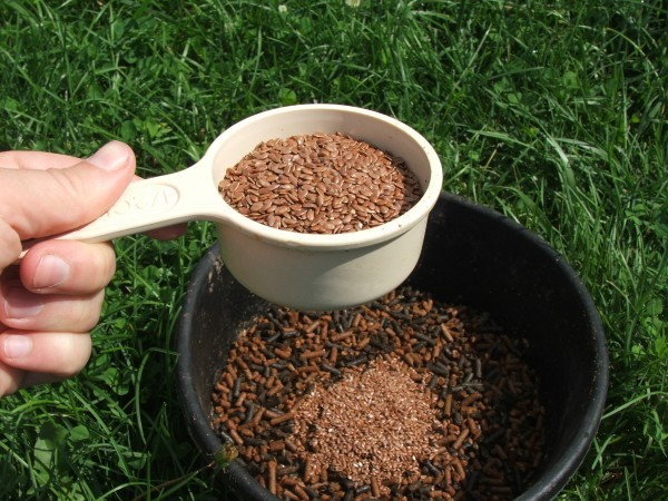 فوائد بذور الكتان لتنظيف القولون و حرق الدهون