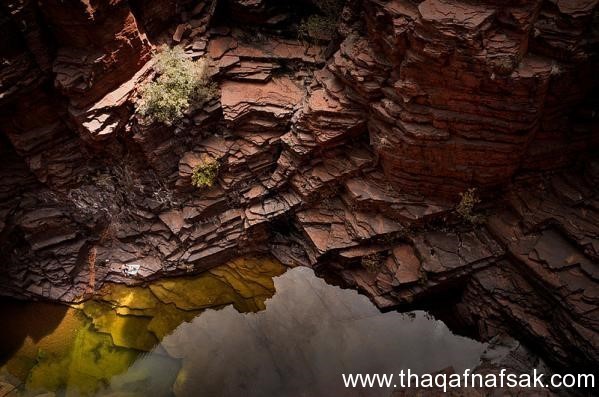 سحر الطبيعة في حديقة كاريݘينى الوطنية