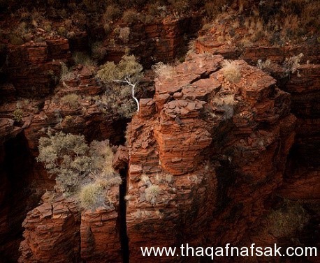 سحر الطبيعة في حديقة كاريݘينى الوطنية