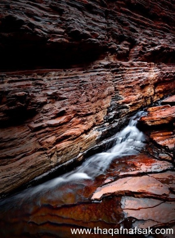 سحر الطبيعة في حديقة كاريݘينى الوطنية