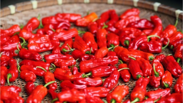 الفلفل الحار للتخسيس جرعة الكبساسين اللازمة لنتيجة التخسيس